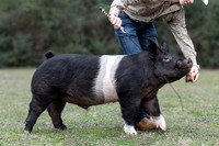 Ethan FFA