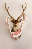 Scottie's newborn